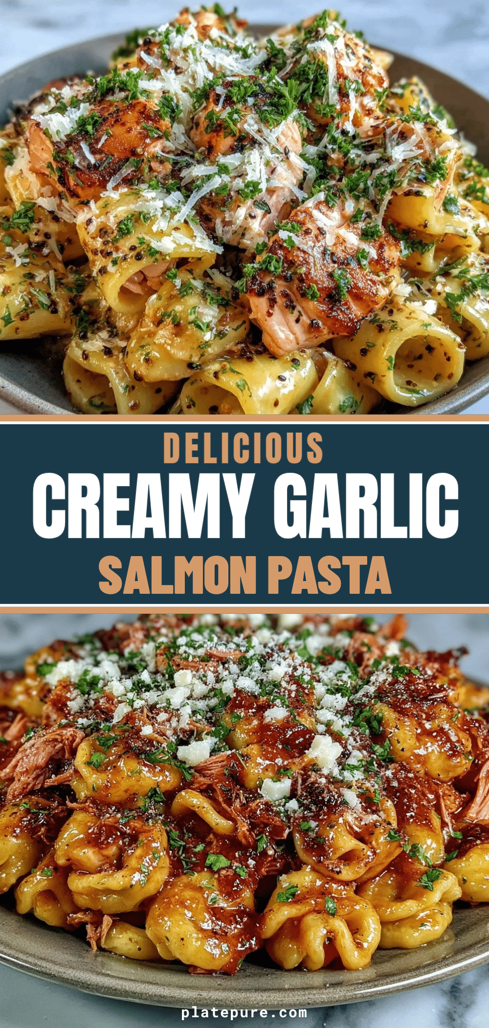 creamy garlic salmon pasta recipe