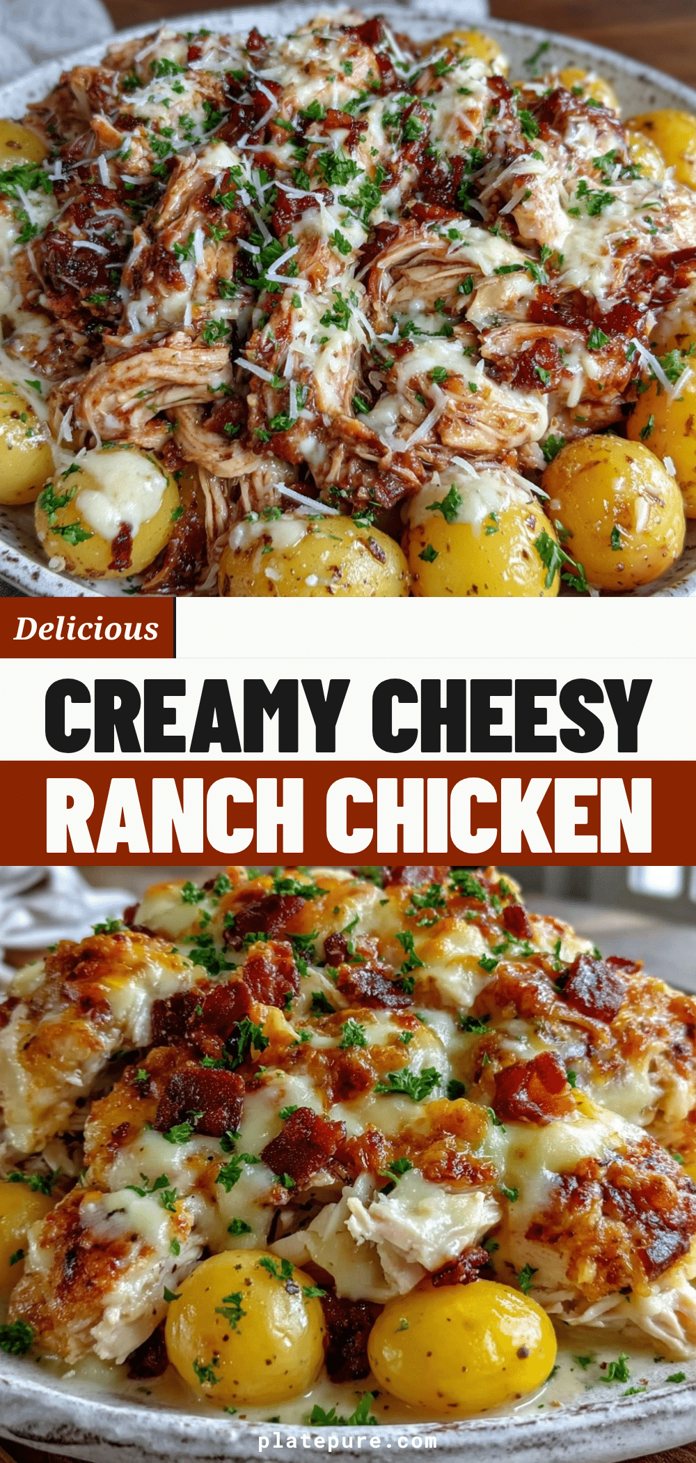 slow cooker cheesy ranch chicken & potatoes recipe